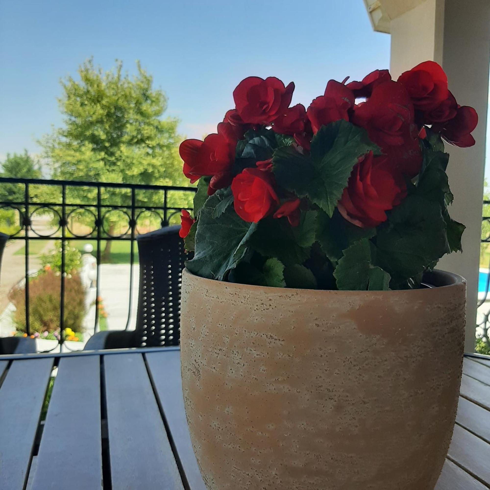 فيلا Αρχοντικό Παπανικολάου Ligaria  المظهر الخارجي الصورة